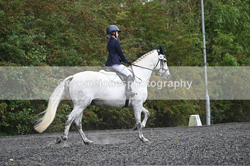 WJ7_6584 - Time 14:49 to 15:14