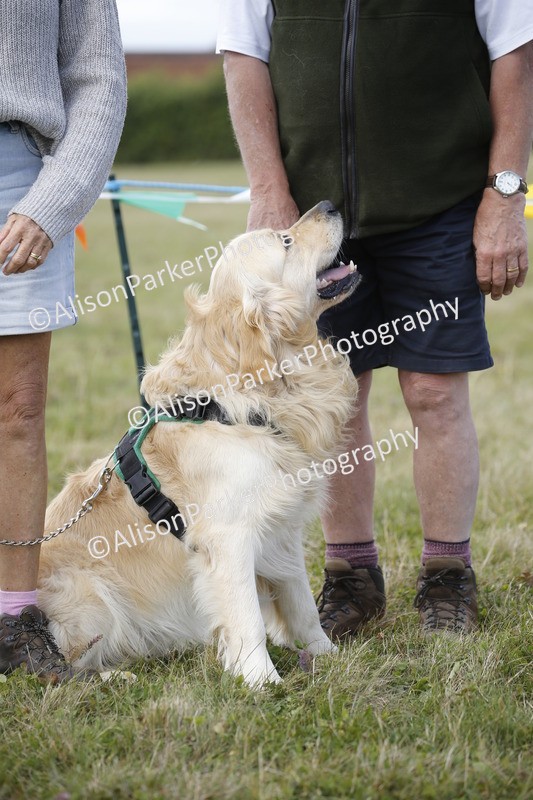 20250831-3629 - Dog Show