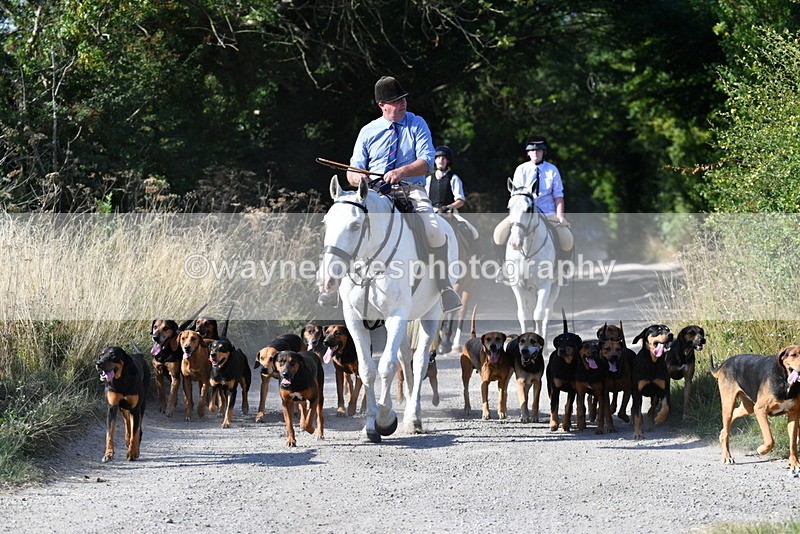 WJ5_4799 - Walk out with the hounds