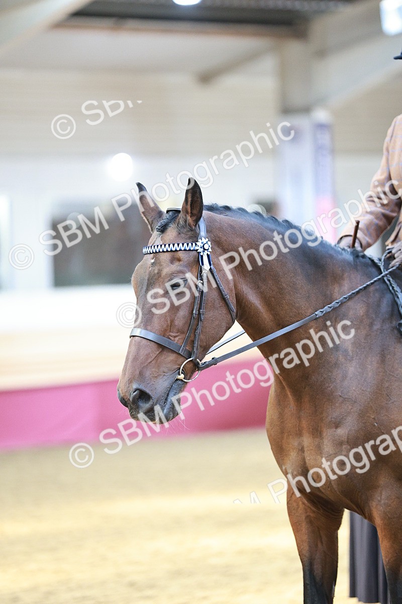 SBM_07063 - Class 10R - Regional Ridden Diamond