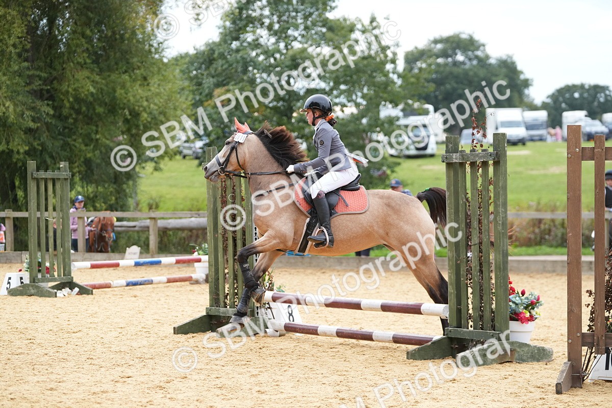 SBM_74755 - J4 - Mini Tour Junior Pony 45cm Championship