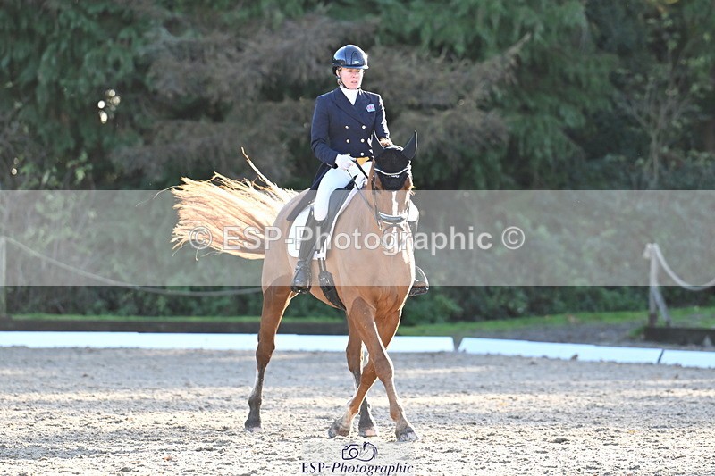 251023A-162328-06058 - B-170-Mollie.Summerland