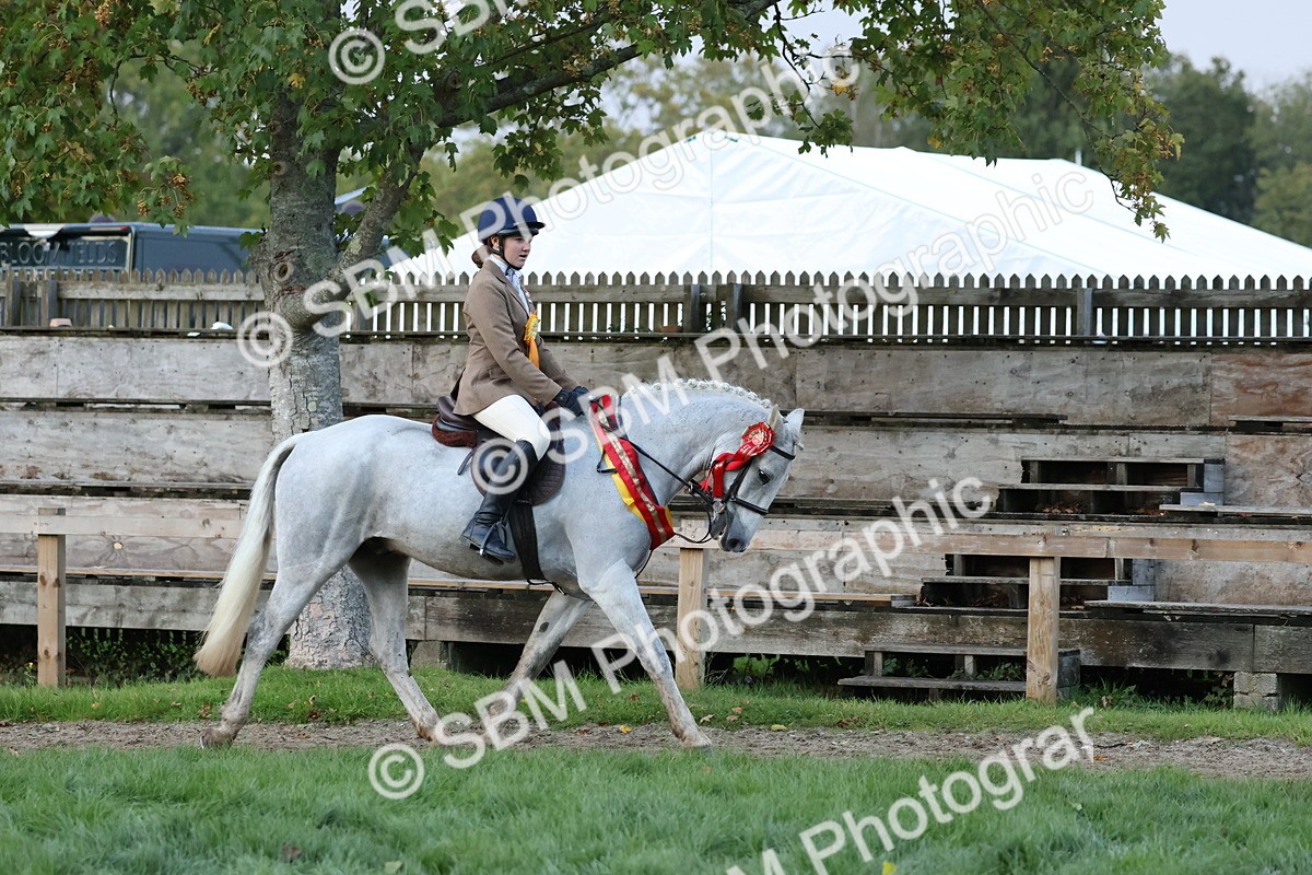 SBM_53417 - Super Supreme Championship (Sat)