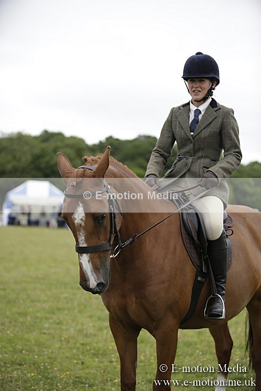 BVR160717-1040 - Ring 1 BVRC Show 16/07/17