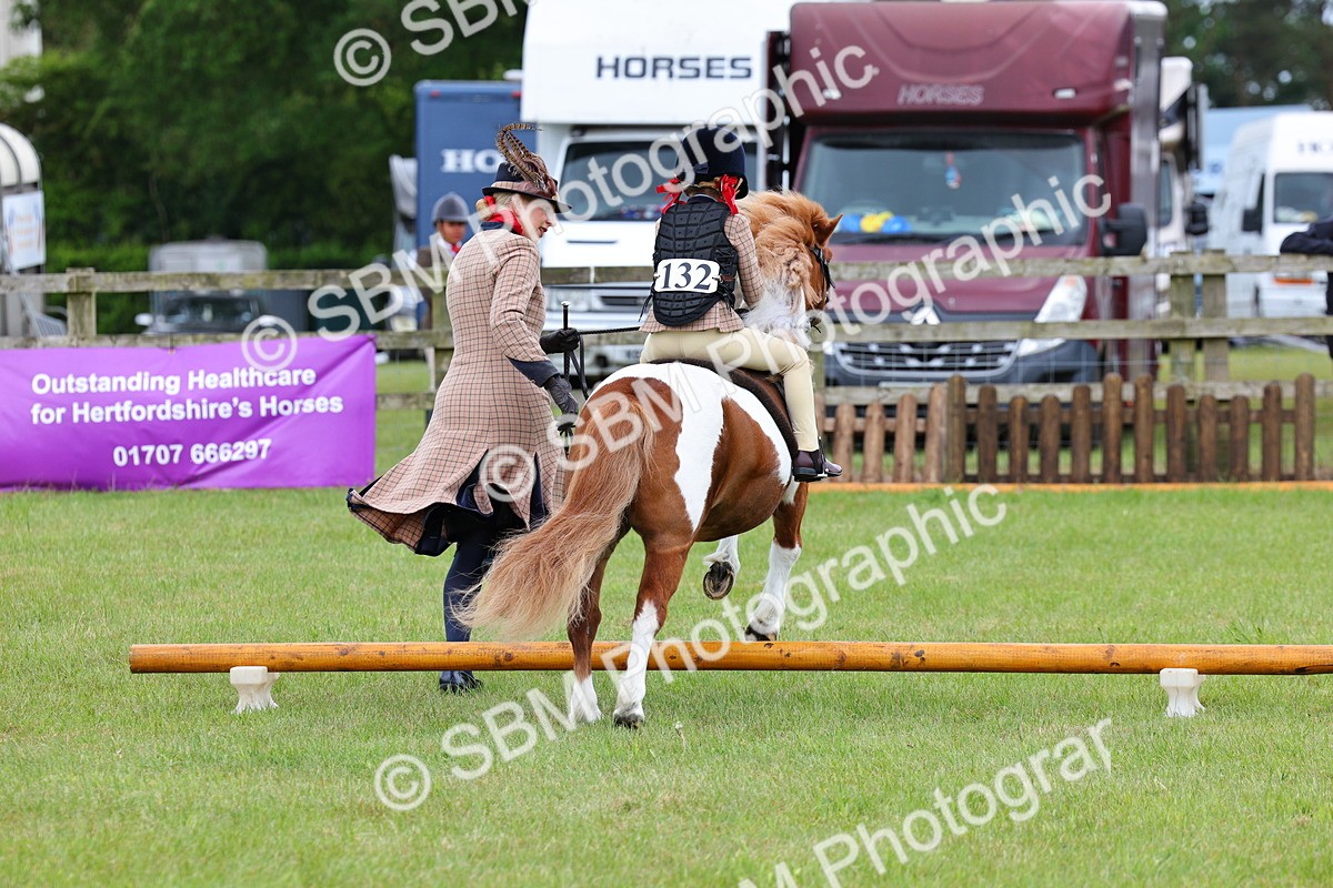 SBM_08230 - Class 42-43 - LIHS BSPS Heritage Working Sports Pony