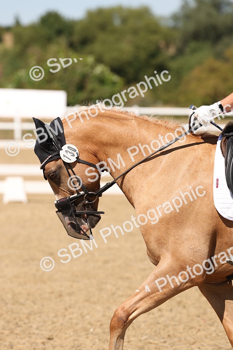 SBM_003673 - Elementary 4