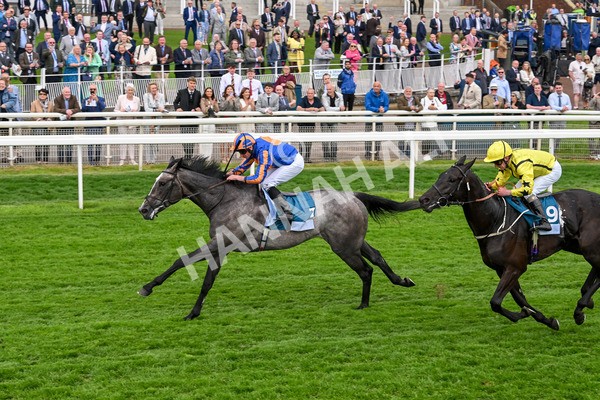 160524-Race 7-London City-6877 - Race 7 5.20pm Collective Green Energy Handicap
