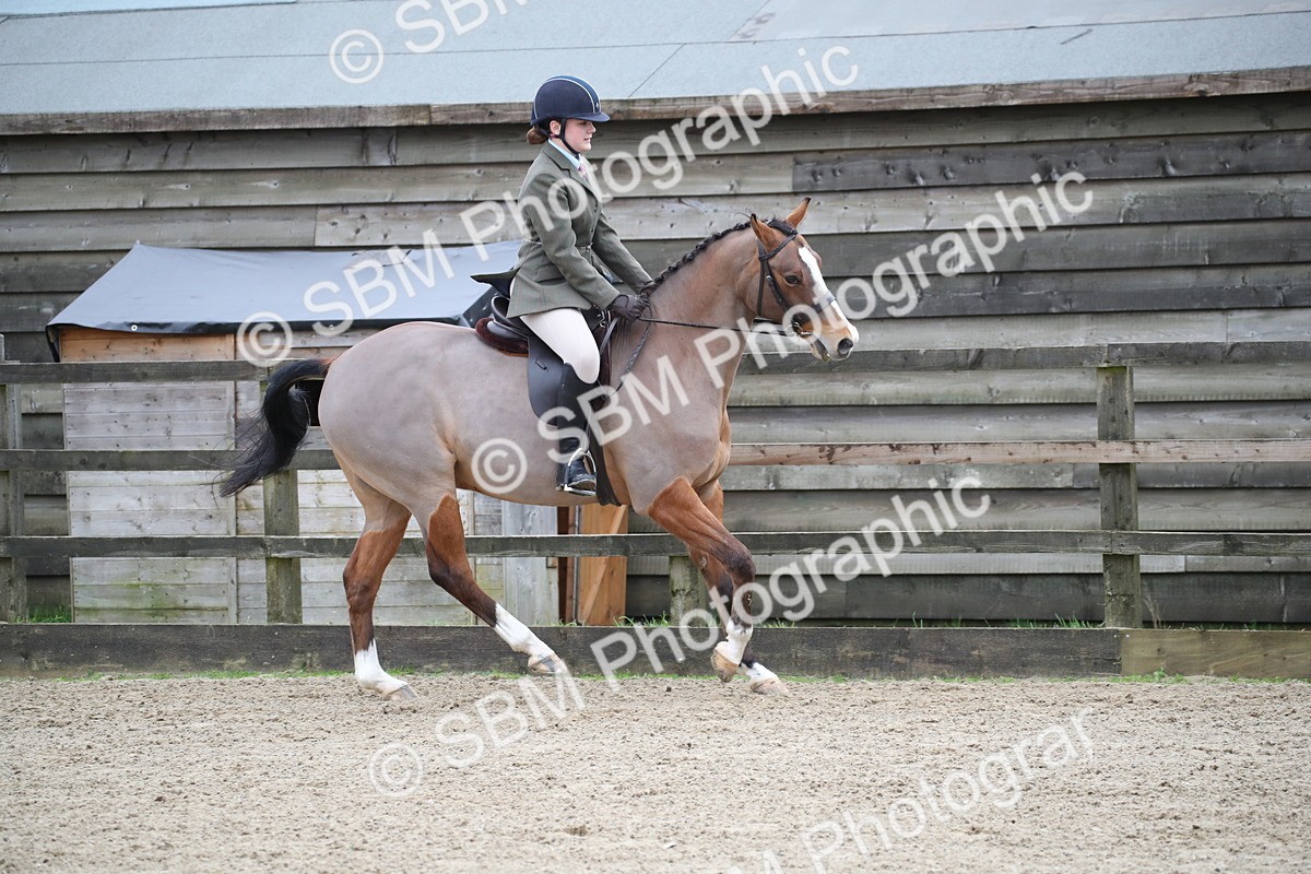 SBM_004735 - Class 5-9 - NPS In Hand-Show Hunter-Intermediate Ridden Inc Ridden Championship