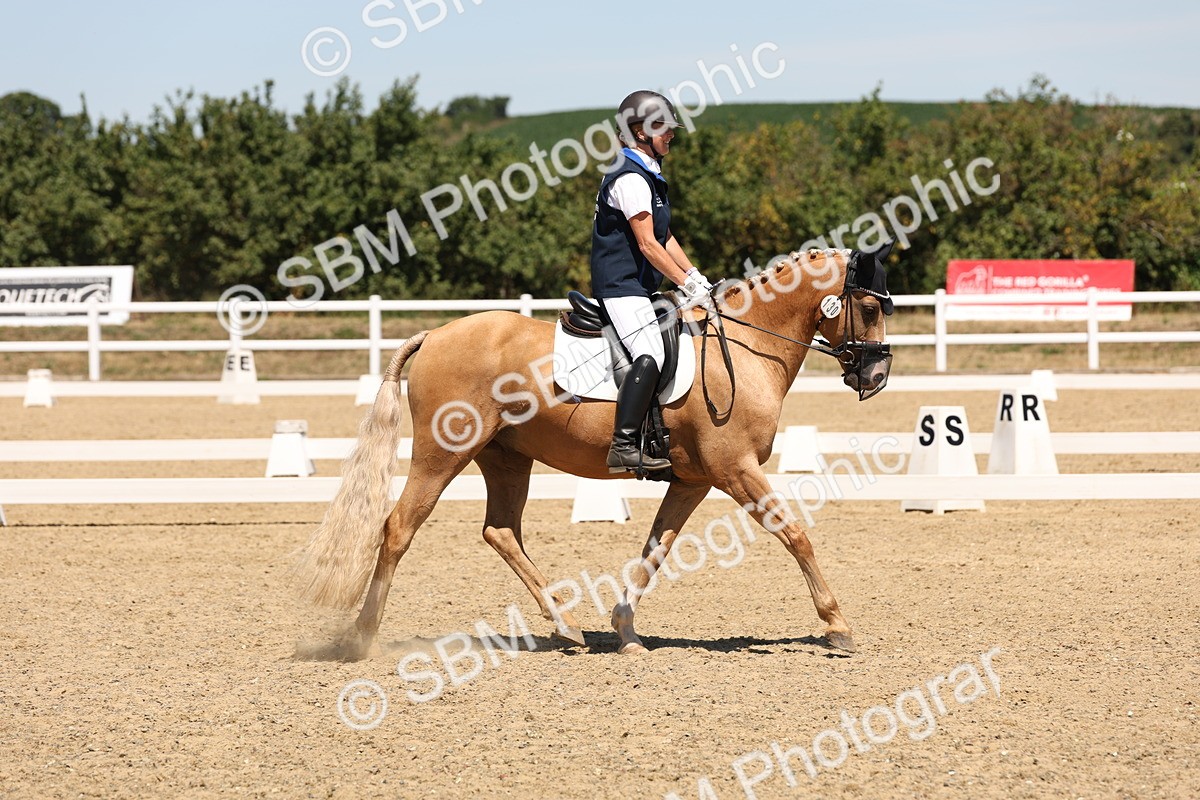 SBM_002217 - Elementary 4 Warm Up