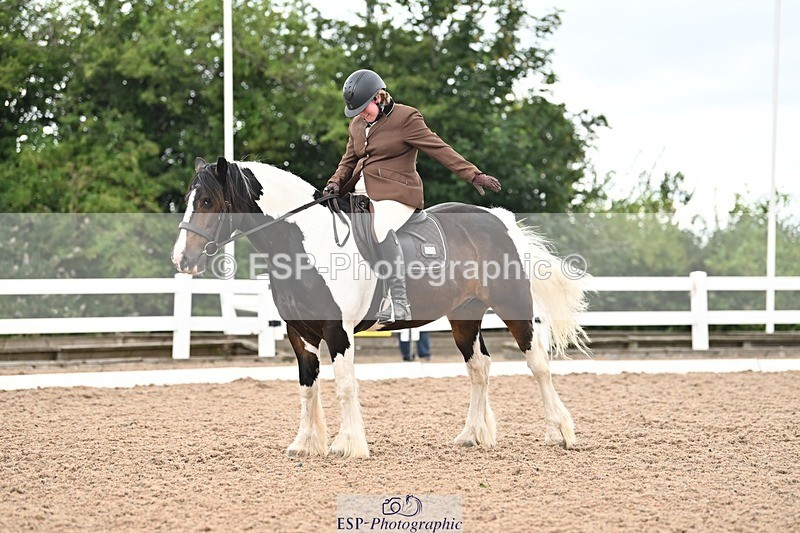 250705-175537-04401 - N2 Section BDNOV2 16.29 to 17.46