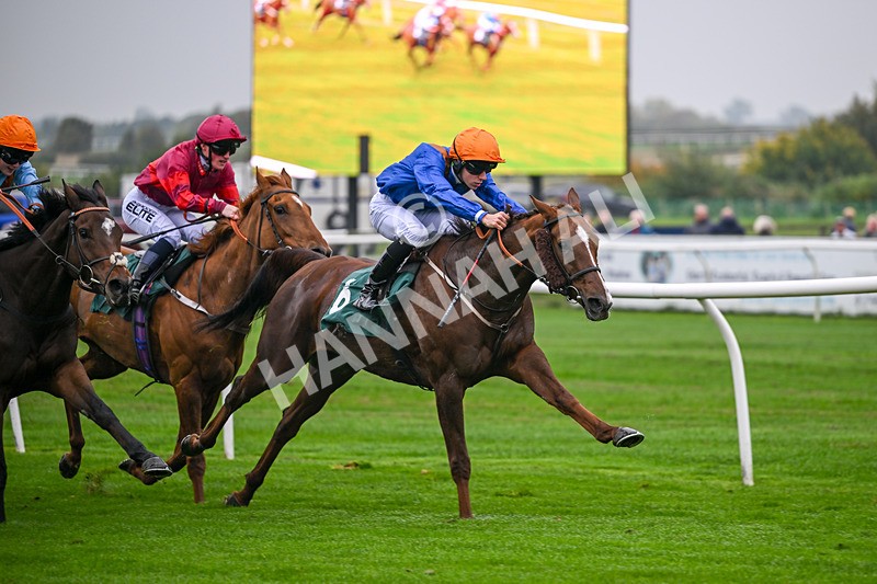 181025-Race 1-Bollin Neil-0155 - Race 1