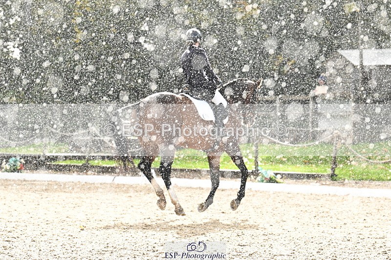 251023A-150400-05655 - B-160-Phoebe.Woods