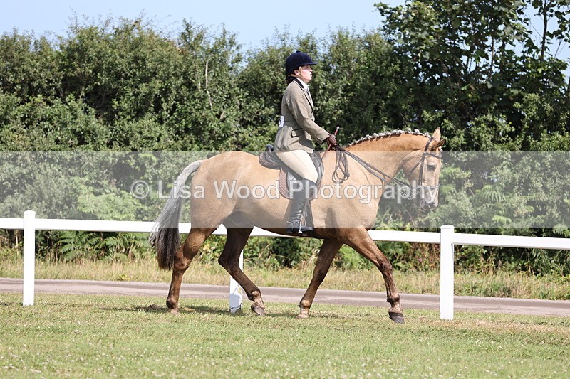 JPP_1115 - Class 17: Cornish Combination Open
