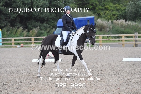 BPP_9990 - PRELIM 4 Q