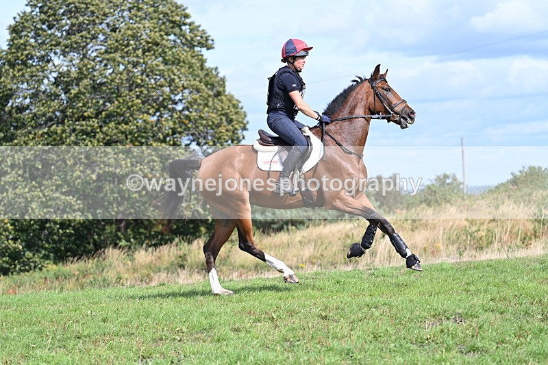 WJ7_2012 - Time 13:17 to 13:53