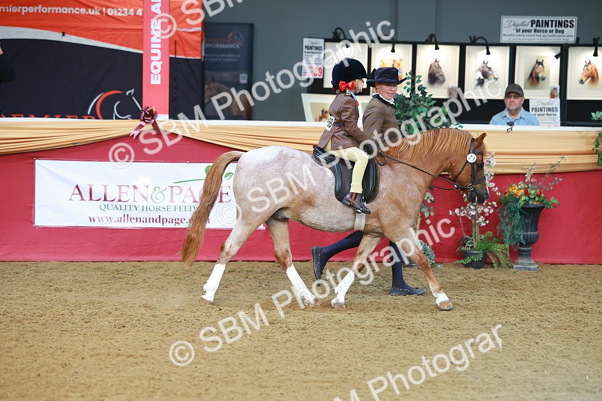 SBM_09450 - Class 102 - HOYS Veteran Qualifier - Ridden Veteran