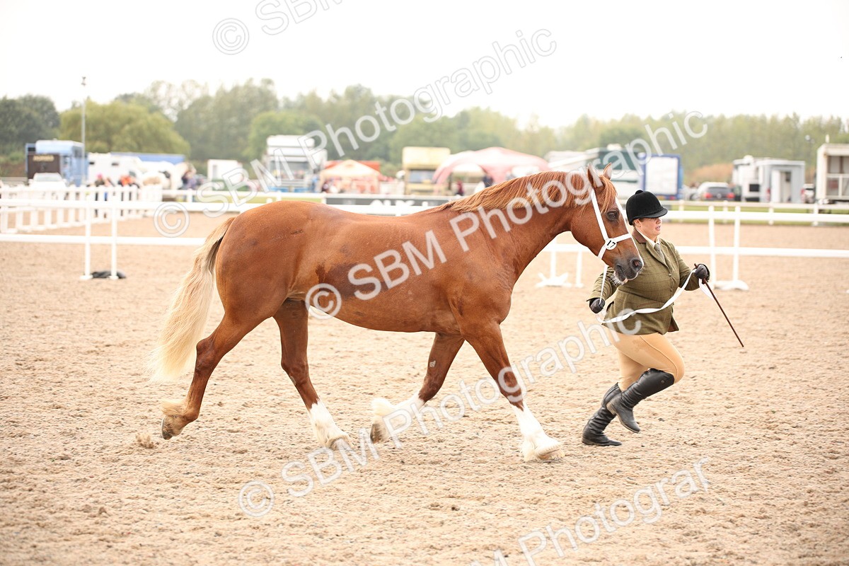 SBM_21468 - Class 706 - IH  Veteran