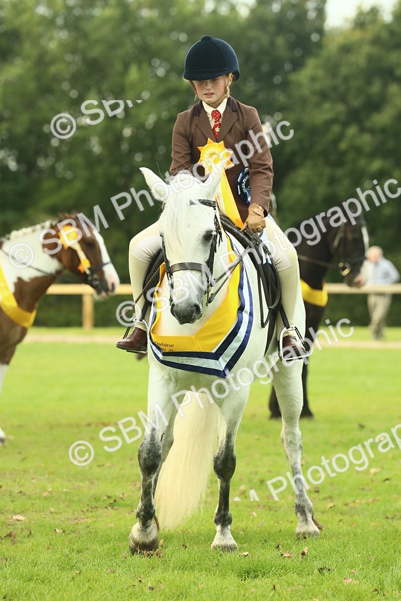 SBM_75105 - Ridden Pony Supreme Championship