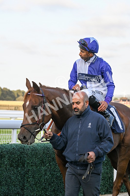 180924-Race 8-Inappropriate-5417 - Race 8