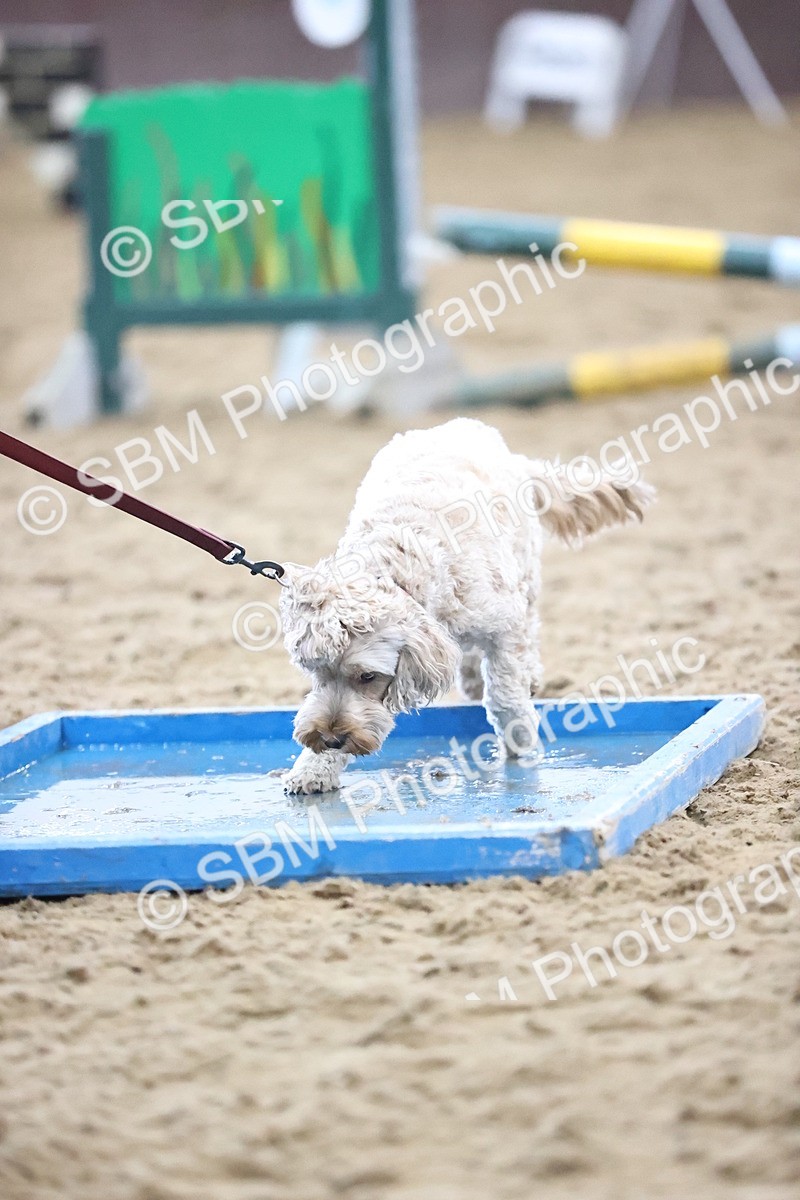 SBM_001633 - Class 3 - Horse & Hound 60cm