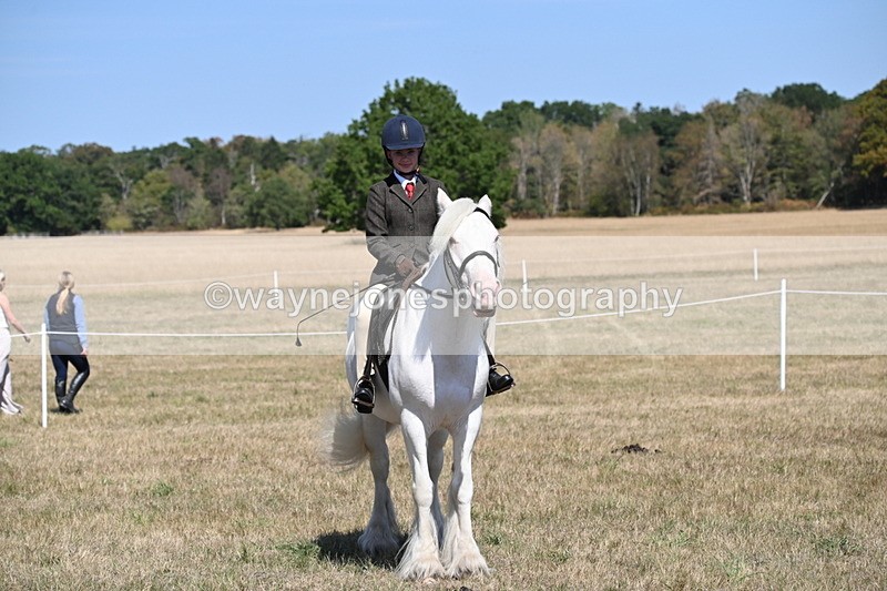 WJ6_9040 - Class 38 Ridden Riding Horse/Pony