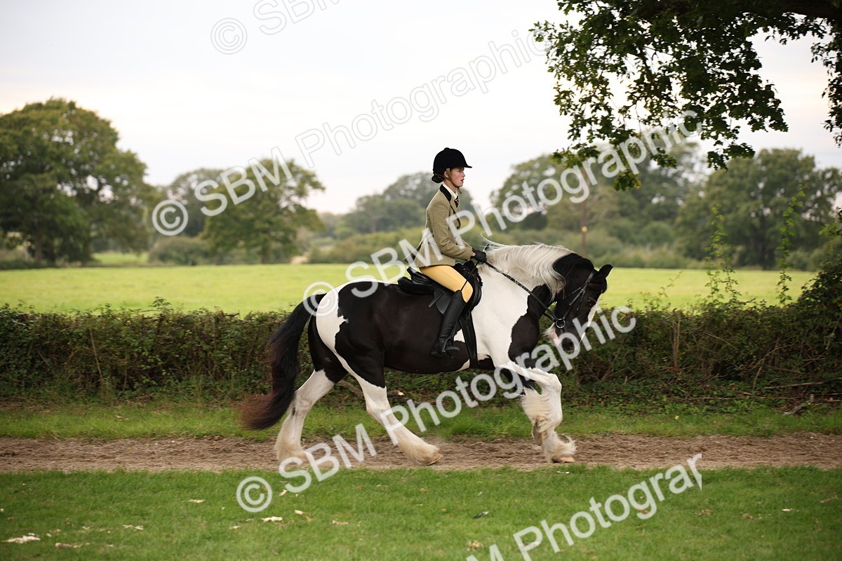 SBM_73446 - S68 - Traditional Cob Ridden