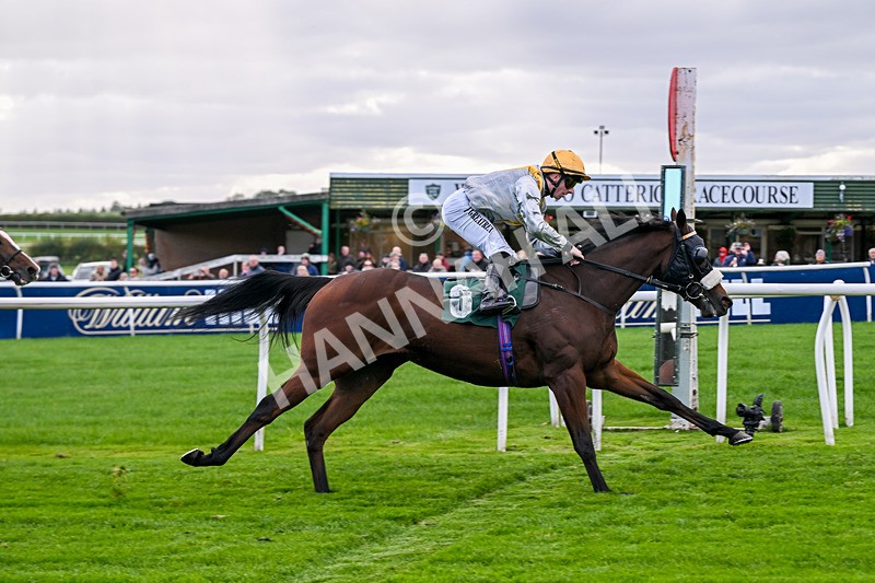 171026-Race 3-Hengest-5310 - Race 3 2.10pm Download The Raceday Ready App Handicap