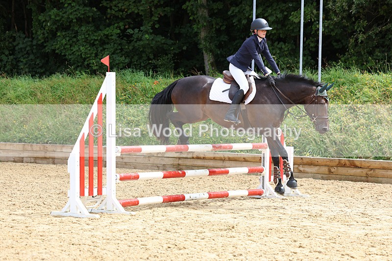 3E7A0010 - Class 9: Senior British Novice/90cm open