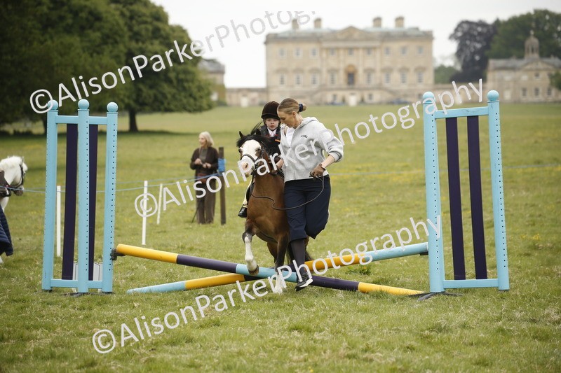 20250517-0128 - Class 1 - 30cm On Lead Rein