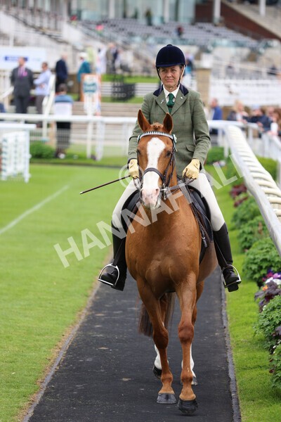 yr22052022r8e-115 - ROR - Parade Ring York