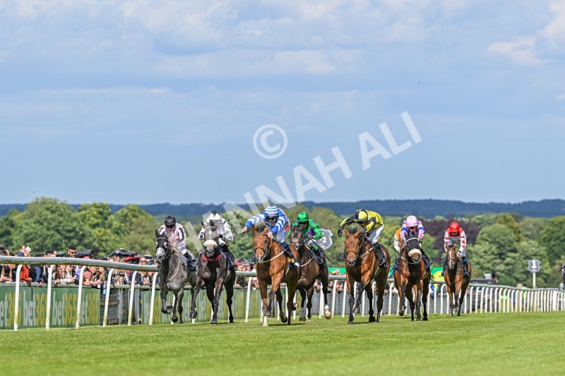 080624-Race 7-This Years Love-7656 - Race 7