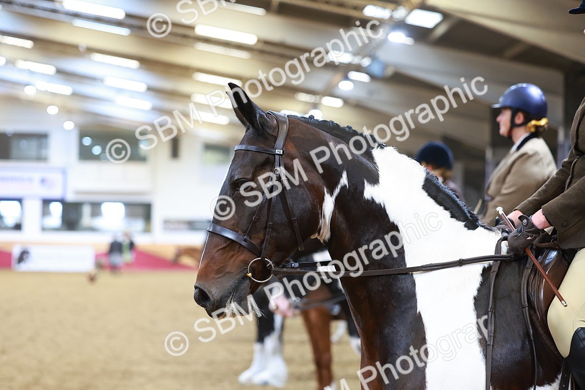 SBM_09667 - Class 102 - HOYS Veteran Qualifier - Ridden Veteran