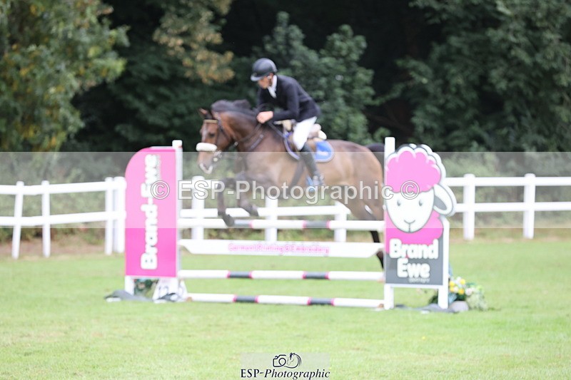 250830A-115933-06308 - Cls 15 5 Year Old Qualifier