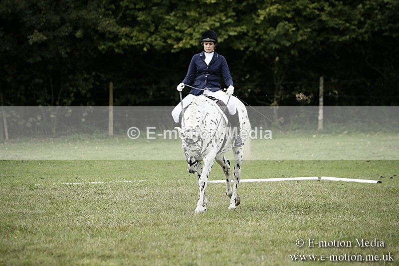 BVR080918 112 - BVRC Novice Dressage & CR 08/09/18