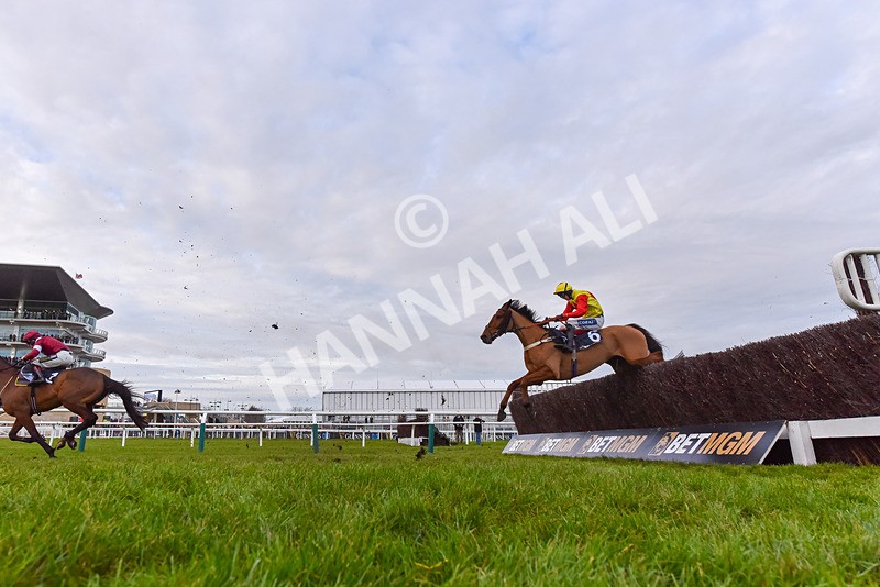 141224-Race 5-Triple Trade-9463 - Race 5