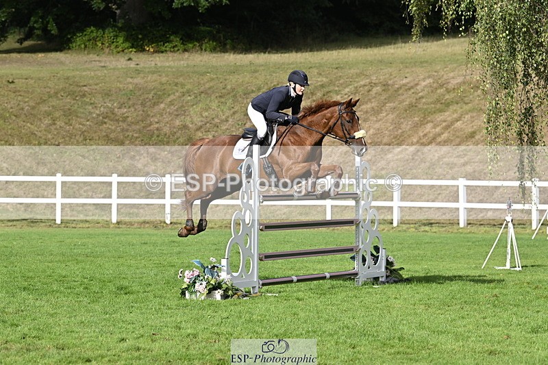 250831A-090014-09107 - Cls 34 Snr Foxhunter