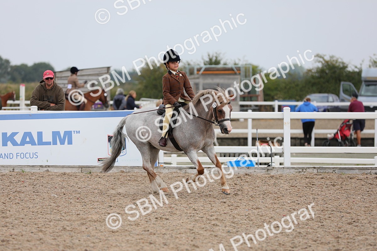 SBM_12711 - Class 307 Ridden Coloured Pony