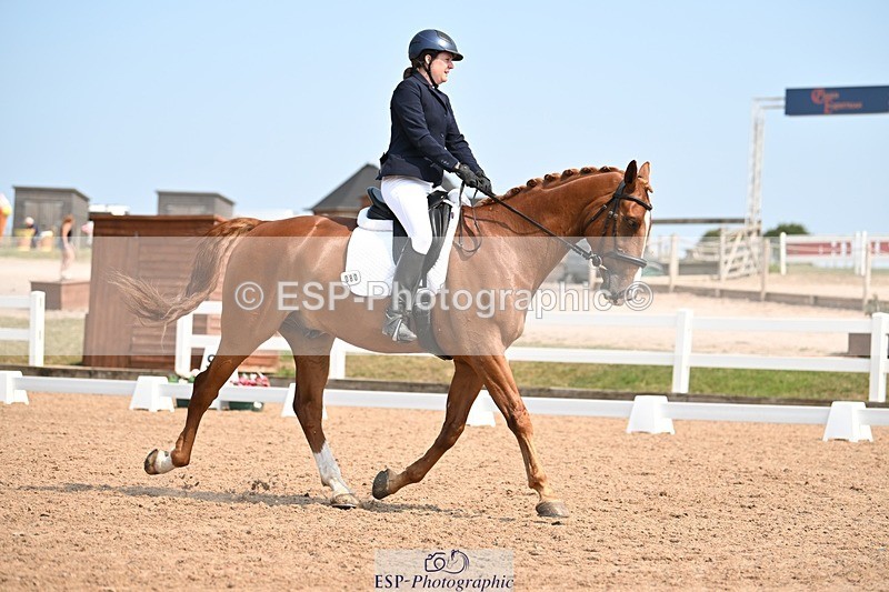 250816-134043-04880 - 080-Elizabeth.StoneZiggy