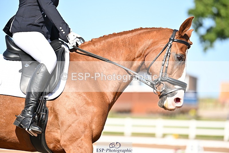 240816A-162303-06163 - 241-Caroline.Toman-D-Pandora.Ramall