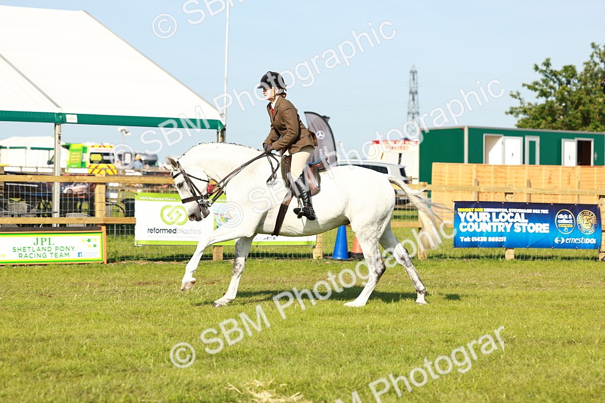 SBM_10923 - Class 66-69 - RIHS Ridden Hunters Inc Small Hunter