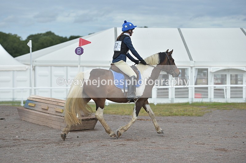 NGP_1370 - XC Time 10:38 to 10:51