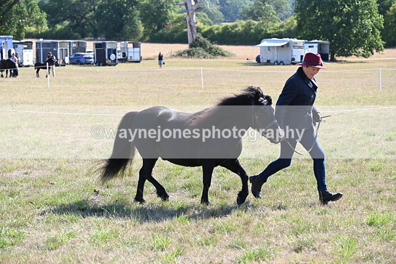 WJ6_4252 - Class 16 Condition & Turn Out