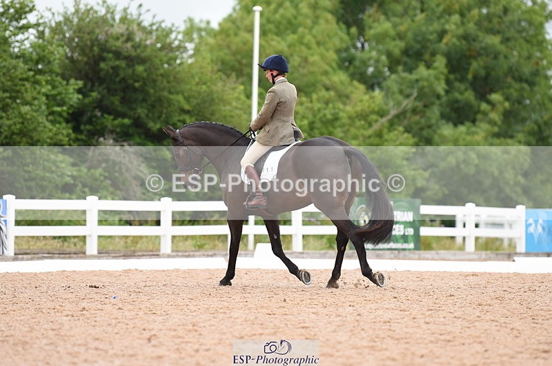 230630A-152900-03179 - Cls 7 Elementary 44 + Medium 71