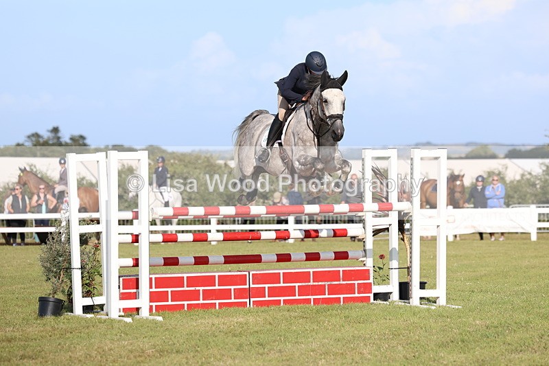 3E7A4403 - Class C: Showjumping Senior Foxhunter