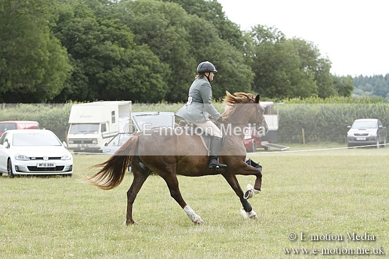 BVR160717-419 - Ring 3 BVRC Show 16/07/17