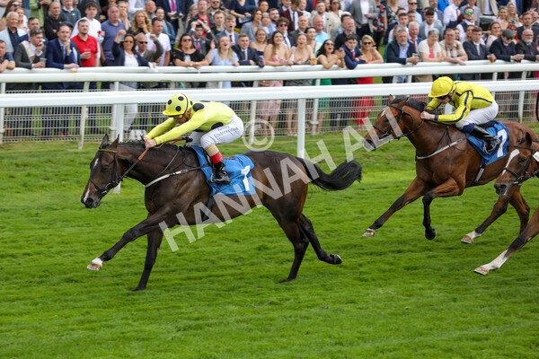 yr11062022r6-30 - Race 6 4.15pm Reg Griffin Appreciation EBFstallions.com Maiden Stakes