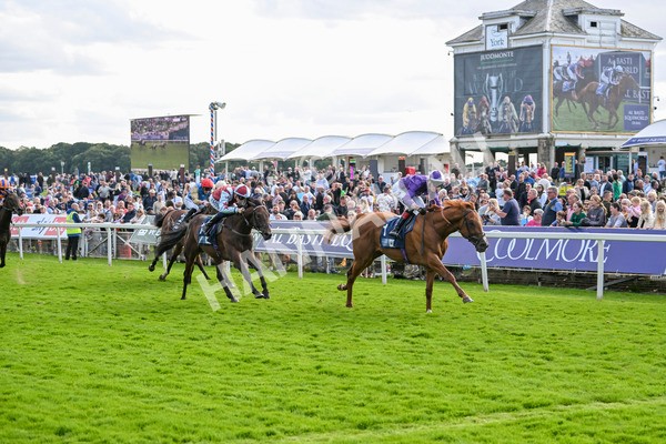 230824-Race 6-Angelo Buonarroti-9888 - Race 6 4.45pm British Stallion Studs EBF Convivial Maiden Stakes