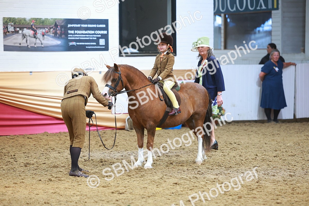 SBM_12627 - Class 103 - HOYS Veteran Qualifier - Ridden Pre Vet