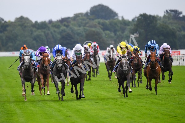 yr21082021r2-7 - Race 2 2.25pm Sky Bet Melrose Stakes