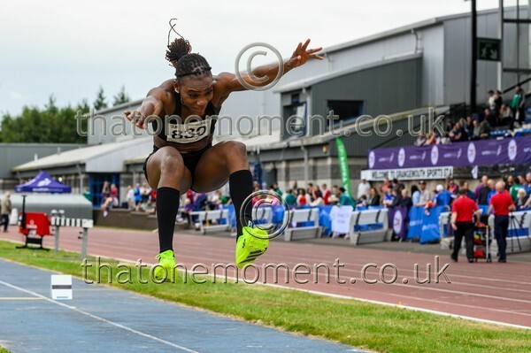 Sen25SAT-914303 - Field Female Set Two